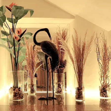 The Diplomat (adults Only) 4* Sliema