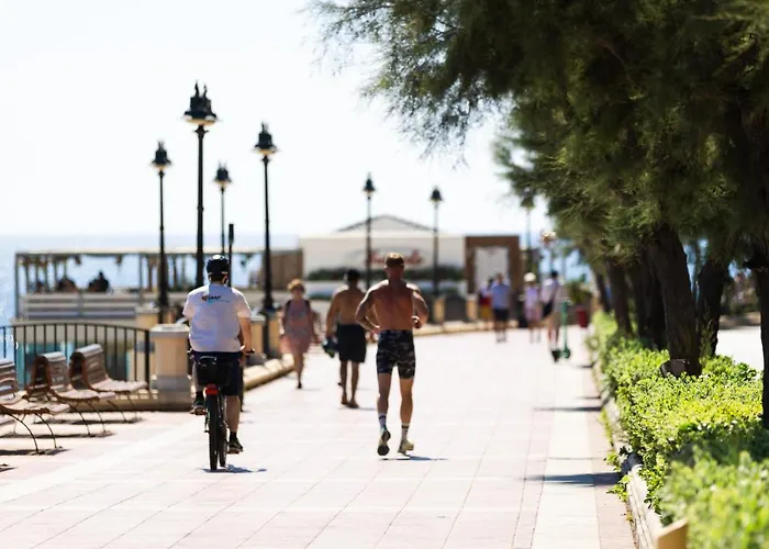 The Diplomat (adults Only)