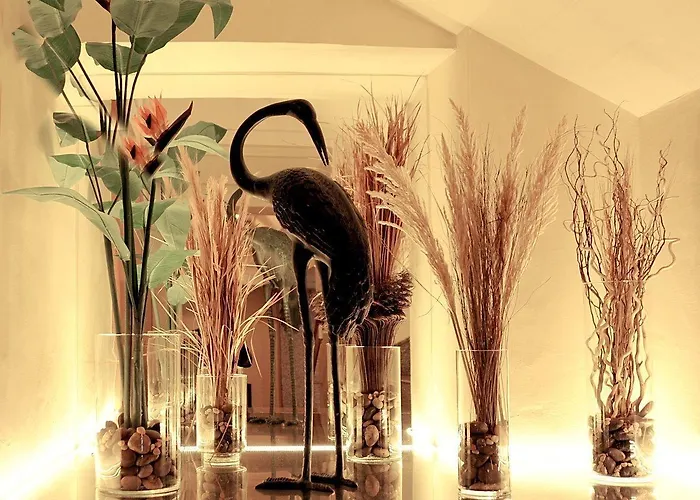 The Diplomat (adults Only) 4* Sliema