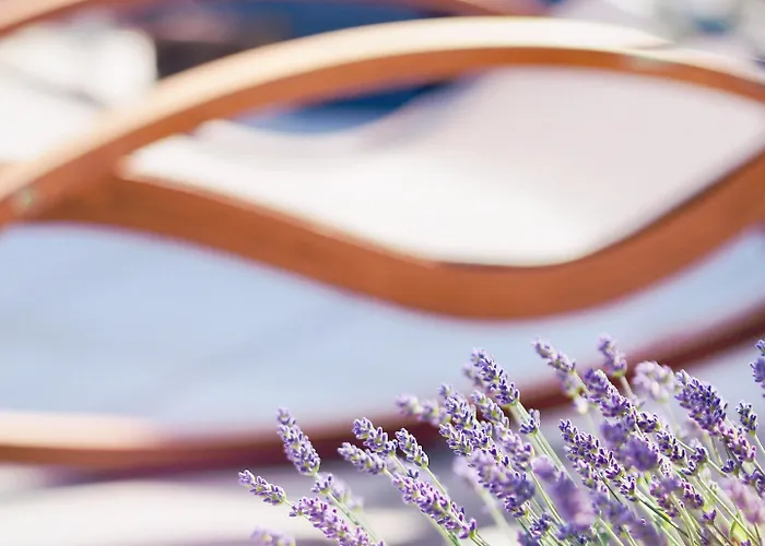 The Diplomat (adults Only) Hotel