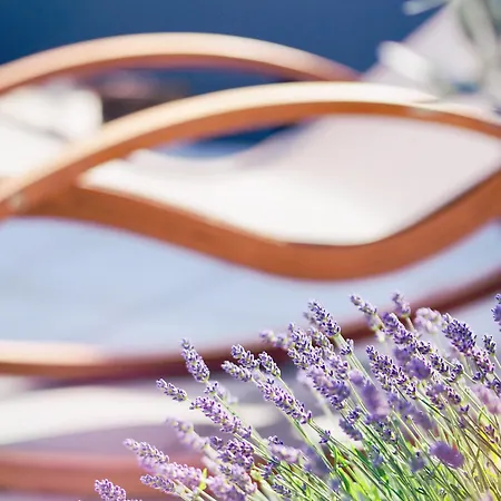 The Diplomat (adults Only) Hotel